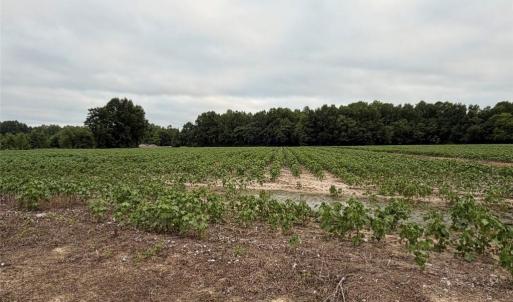 Photo #13 of Lot 19 Longstreet Lane, Suffolk, Virginia 19.6 acres