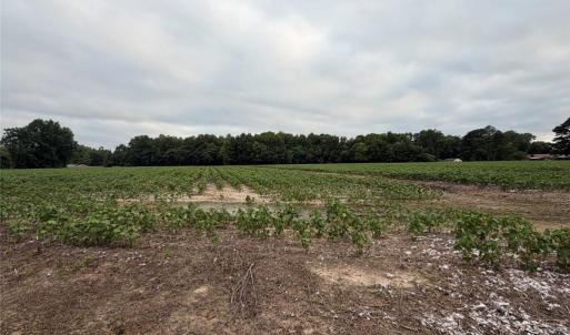 Photo #14 of Lot 19 Longstreet Lane, Suffolk, Virginia 19.6 acres