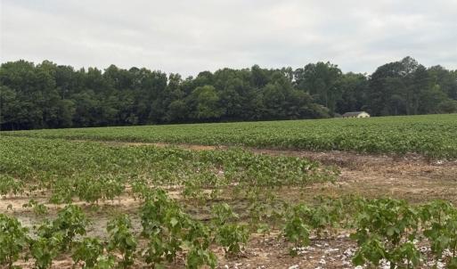 Photo #15 of Lot 19 Longstreet Lane, Suffolk, Virginia 19.6 acres