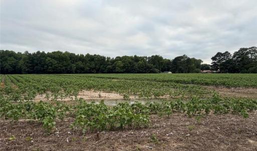 Photo #9 of Lot 19 Longstreet Lane, Suffolk, Virginia 19.6 acres