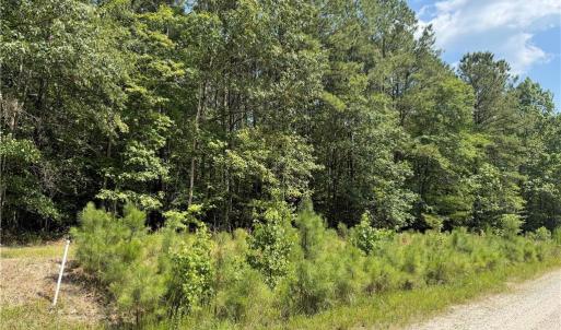 Photo #3 of 14 Fox Chase Drive, Dendron, Virginia 5.1 acres