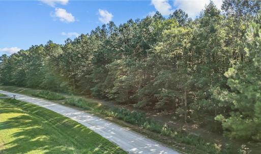 Photo #4 of 14 Fox Chase Drive, Dendron, Virginia 5.1 acres