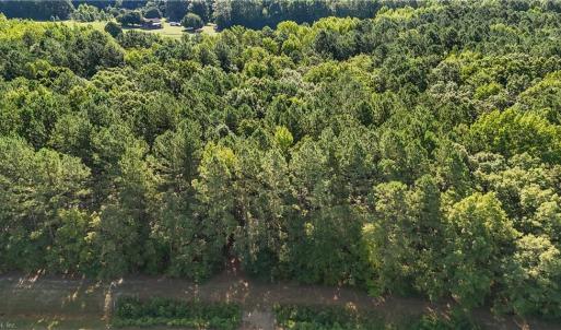 Photo #6 of 14 Fox Chase Drive, Dendron, Virginia 5.1 acres