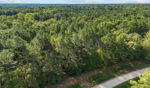 Photo #7 of 14 Fox Chase Drive, Dendron, Virginia 5.1 acres