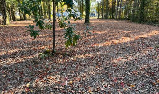 Photo #3 of 56 Mobjack Lane, Hayes, Virginia 0.5 acres