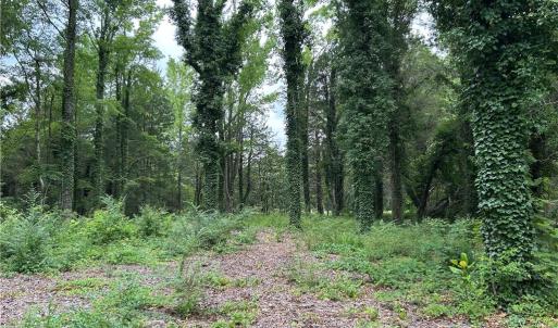 Photo #4 of 56 Mobjack Lane, Hayes, Virginia 0.5 acres