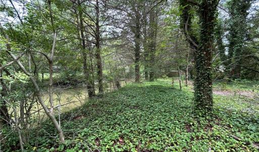 Photo #9 of 56 Mobjack Lane, Hayes, Virginia 0.5 acres