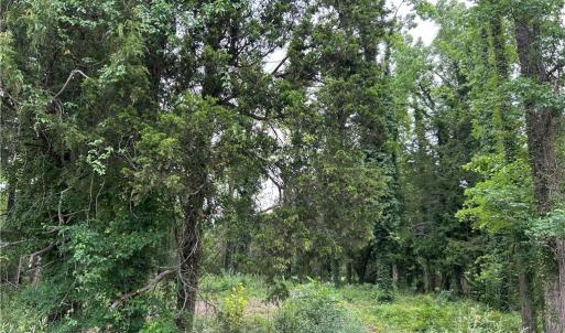 Photo #10 of 56 Mobjack Lane, Hayes, Virginia 0.5 acres