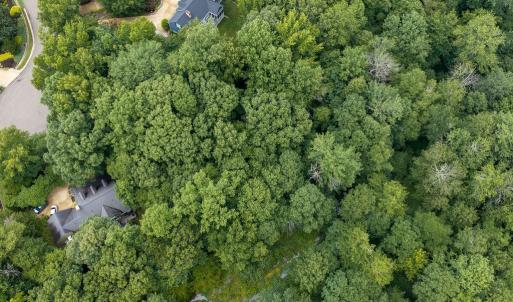 Photo #7 of 109 Aberdeen, Williamsburg, Virginia 0.3 acres