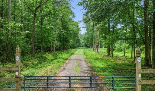 Photo #5 of 5.89ac Five Gables Woodlands, Gloucester, Virginia 5.9 acres