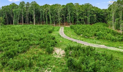 Photo #15 of 7.92ac Five Gables Woodlands, Gloucester, Virginia 7.9 acres