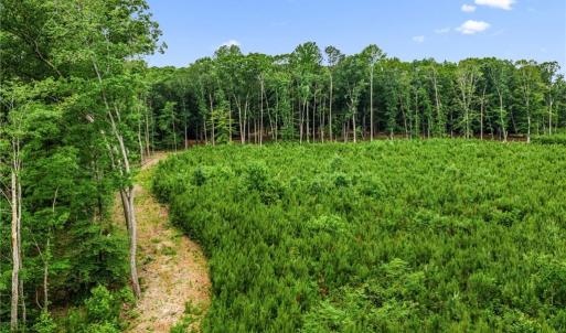 Photo #16 of 7.92ac Five Gables Woodlands, Gloucester, Virginia 7.9 acres