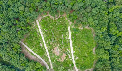 Photo #23 of 7.92ac Five Gables Woodlands, Gloucester, Virginia 7.9 acres