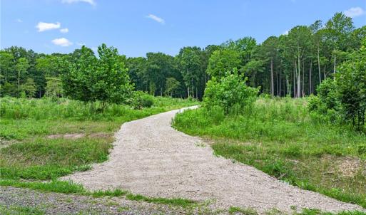 Photo #25 of 7.92ac Five Gables Woodlands, Gloucester, Virginia 7.9 acres