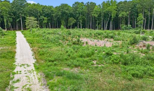 Photo #31 of 7.92ac Five Gables Woodlands, Gloucester, Virginia 7.9 acres