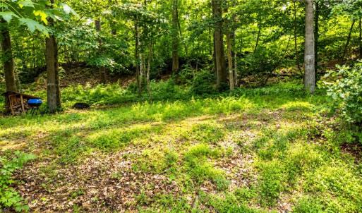 Photo #9 of Haynes Pond Way, Gloucester, Virginia 1.0 acres