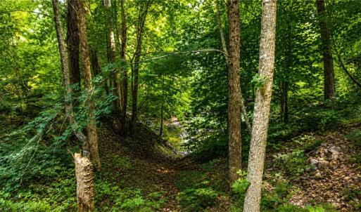 Photo #10 of Haynes Pond Way, Gloucester, Virginia 1.0 acres
