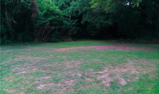 Rear of lot view