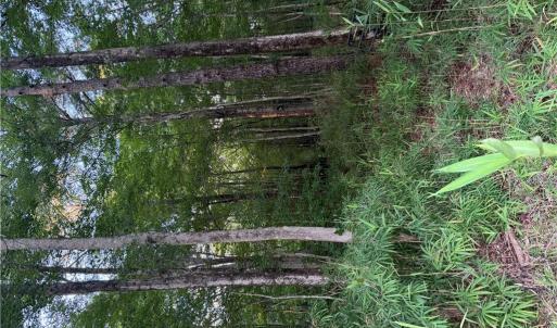 Photo #1 of Lot 7 Tuck Street, Chesapeake, Virginia 0.2 acres