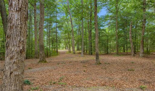 Photo #14 of 13.7ac Five Gables Woodlands, Gloucester, Virginia 13.7 acres