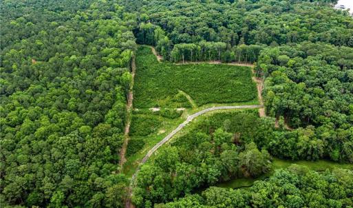 Photo #16 of 13.7ac Five Gables Woodlands, Gloucester, Virginia 13.7 acres