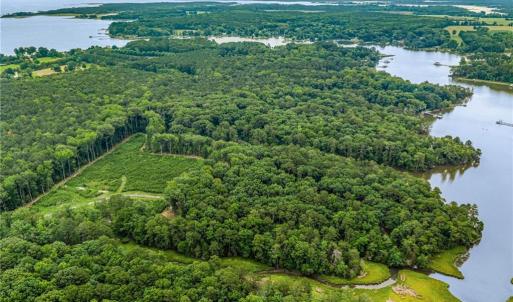 Photo #18 of 13.7ac Five Gables Woodlands, Gloucester, Virginia 13.7 acres