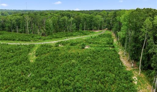 Photo #21 of 13.7ac Five Gables Woodlands, Gloucester, Virginia 13.7 acres