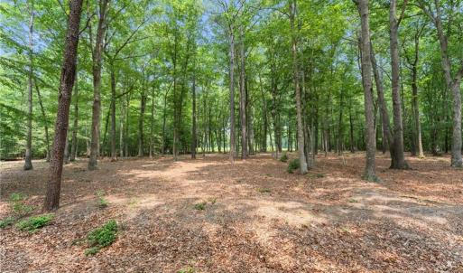 Photo #23 of 13.7ac Five Gables Woodlands, Gloucester, Virginia 13.7 acres