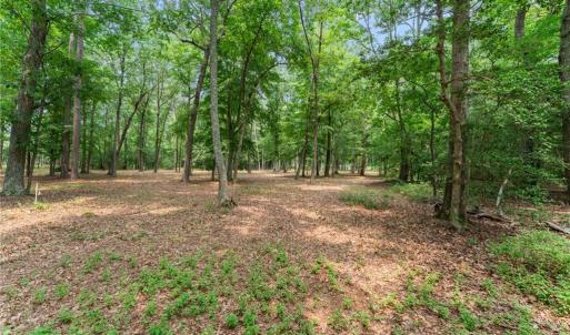 Photo #24 of 13.7ac Five Gables Woodlands, Gloucester, Virginia 13.7 acres