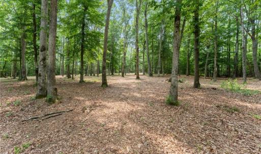Photo #25 of 13.7ac Five Gables Woodlands, Gloucester, Virginia 13.7 acres