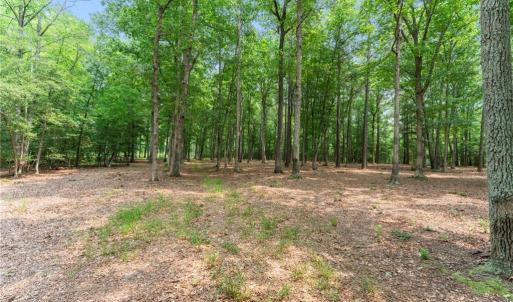 Photo #28 of 13.7ac Five Gables Woodlands, Gloucester, Virginia 13.7 acres