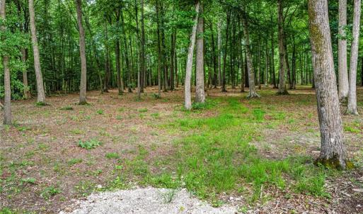 Photo #7 of 13.7ac Five Gables Woodlands, Gloucester, Virginia 13.7 acres