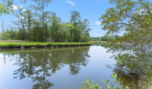 Photo #8 of 13.7ac Five Gables Woodlands, Gloucester, Virginia 13.7 acres
