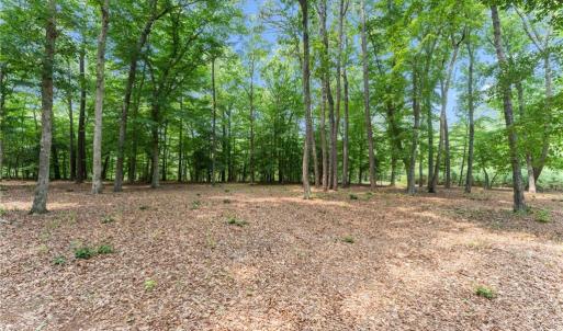 Photo #26 of 13.7ac Five Gables Woodlands, Gloucester, Virginia 13.7 acres