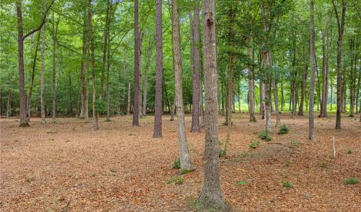 Photo #11 of 11.8ac Five Gables Woodlands, Gloucester, Virginia 11.9 acres