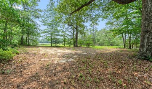 Photo #12 of 11.8ac Five Gables Woodlands, Gloucester, Virginia 11.9 acres