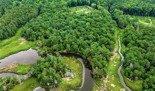 Photo #13 of 11.8ac Five Gables Woodlands, Gloucester, Virginia 11.9 acres