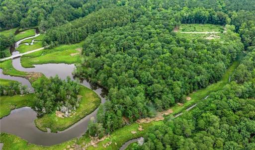 Photo #14 of 11.8ac Five Gables Woodlands, Gloucester, Virginia 11.9 acres