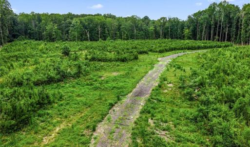 Photo #19 of 11.8ac Five Gables Woodlands, Gloucester, Virginia 11.9 acres
