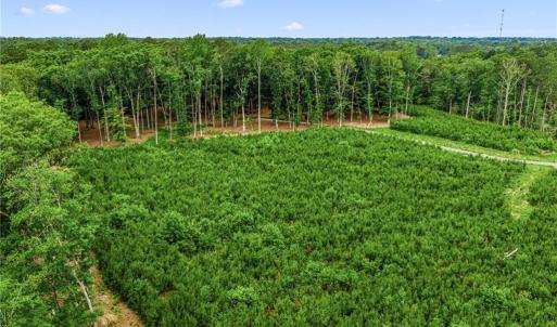 Photo #21 of 11.8ac Five Gables Woodlands, Gloucester, Virginia 11.9 acres