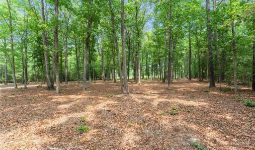 Photo #26 of 11.8ac Five Gables Woodlands, Gloucester, Virginia 11.9 acres