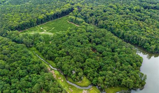 Photo #4 of 11.8ac Five Gables Woodlands, Gloucester, Virginia 11.9 acres