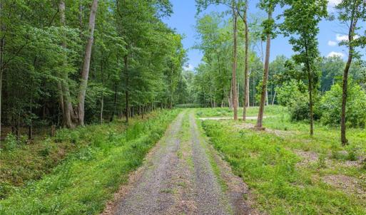 Photo #8 of 11.8ac Five Gables Woodlands, Gloucester, Virginia 11.9 acres
