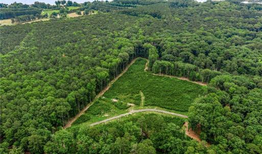 Photo #17 of 11.8ac Five Gables Woodlands, Gloucester, Virginia 11.9 acres