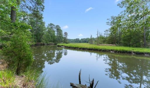 Photo #22 of 11.8ac Five Gables Woodlands, Gloucester, Virginia 11.9 acres