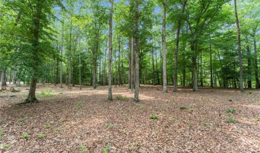 Photo #23 of 11.8ac Five Gables Woodlands, Gloucester, Virginia 11.9 acres