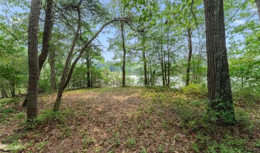 Photo #29 of 11.8ac Five Gables Woodlands, Gloucester, Virginia 11.9 acres