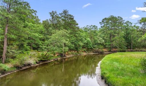 Photo #14 of 10.1ac Five Gables Woodlands, Gloucester, Virginia 10.2 acres