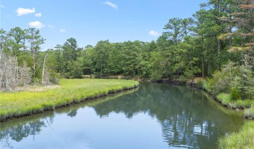 Photo #17 of 10.1ac Five Gables Woodlands, Gloucester, Virginia 10.2 acres