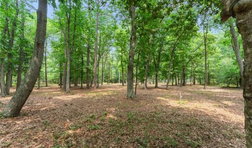 Photo #23 of 10.1ac Five Gables Woodlands, Gloucester, Virginia 10.2 acres